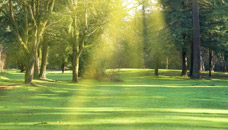 Dahlstrom Funeral Home